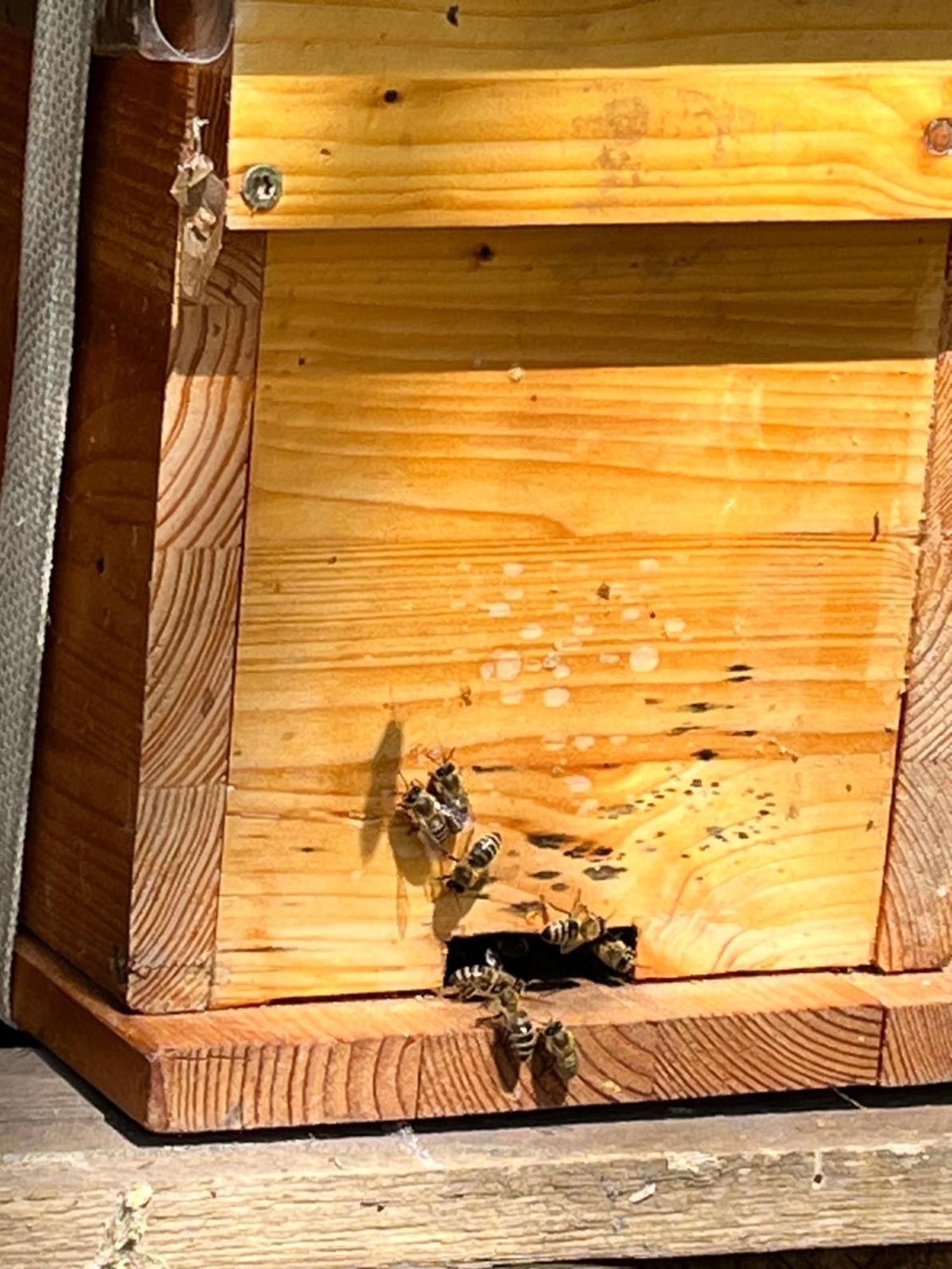 Wald Ist Zukunft Bernbeuren Exterior foto