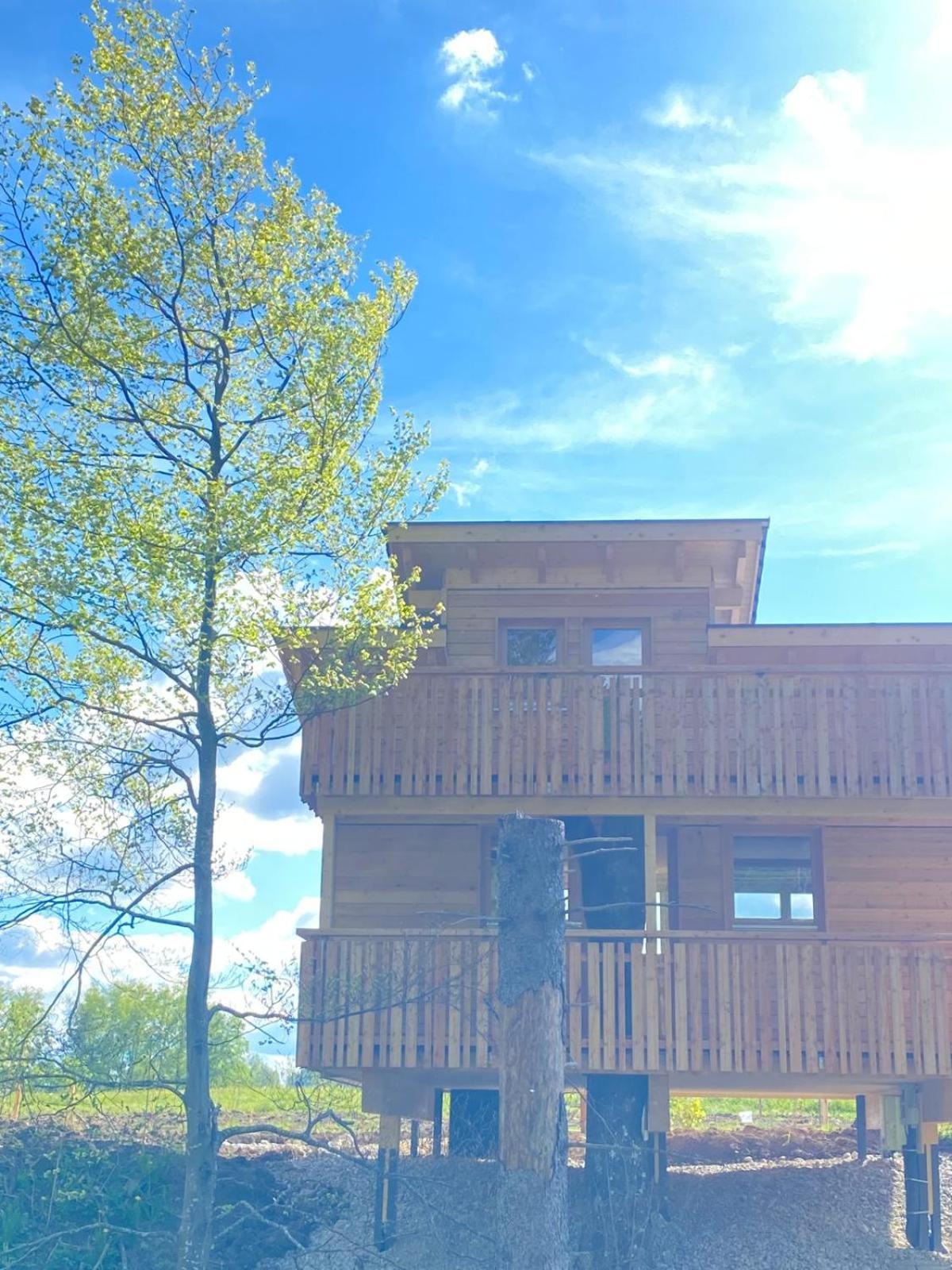 Wald Ist Zukunft Bernbeuren Exterior foto