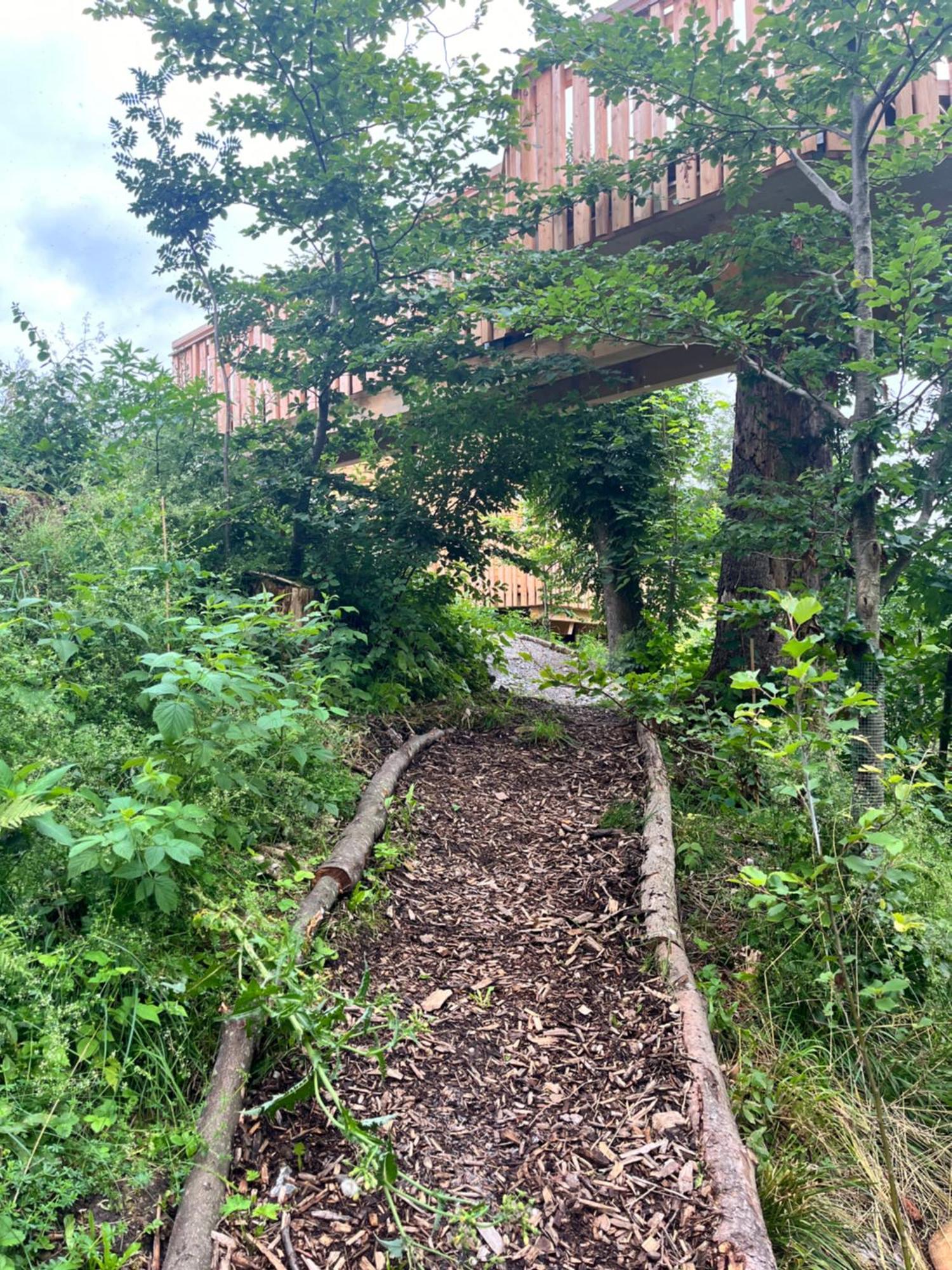 Wald Ist Zukunft Bernbeuren Exterior foto