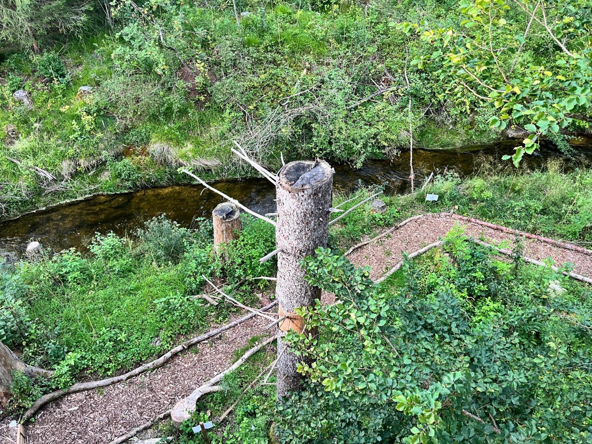 Wald Ist Zukunft Bernbeuren Exterior foto