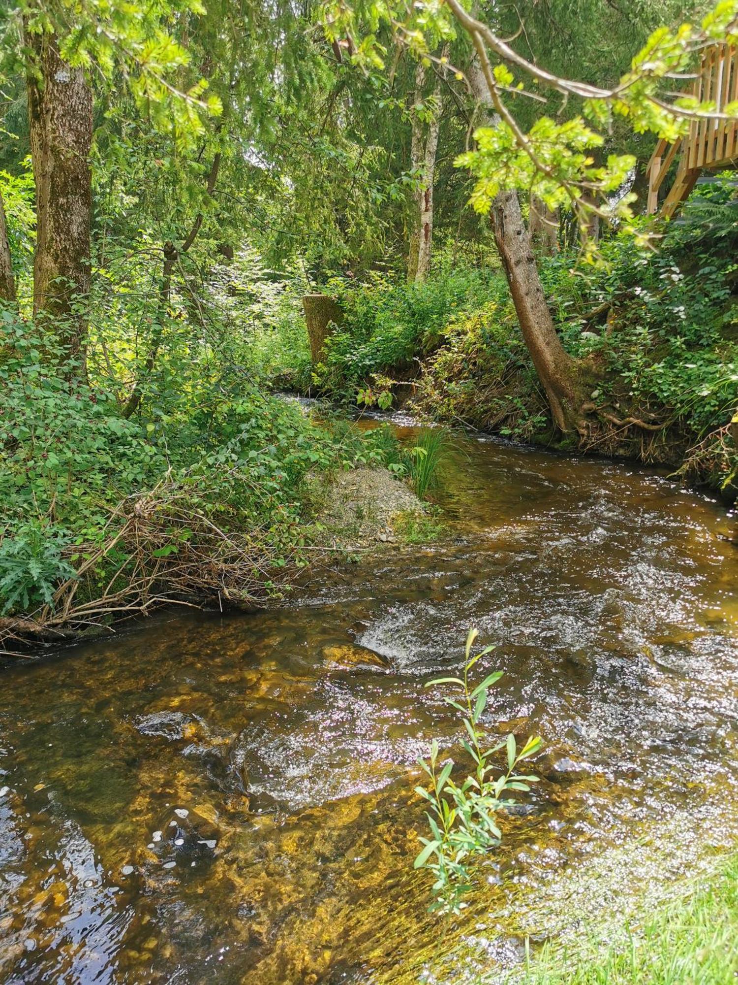 Wald Ist Zukunft Bernbeuren Exterior foto