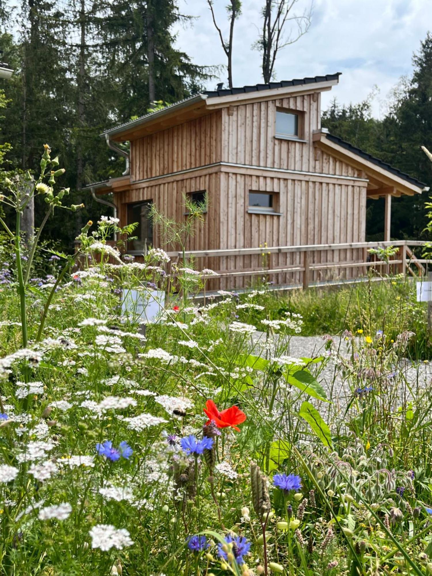 Wald Ist Zukunft Bernbeuren Exterior foto