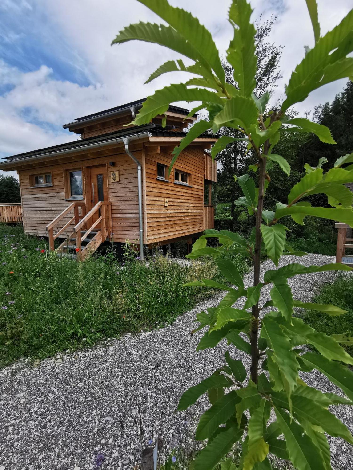 Wald Ist Zukunft Bernbeuren Exterior foto