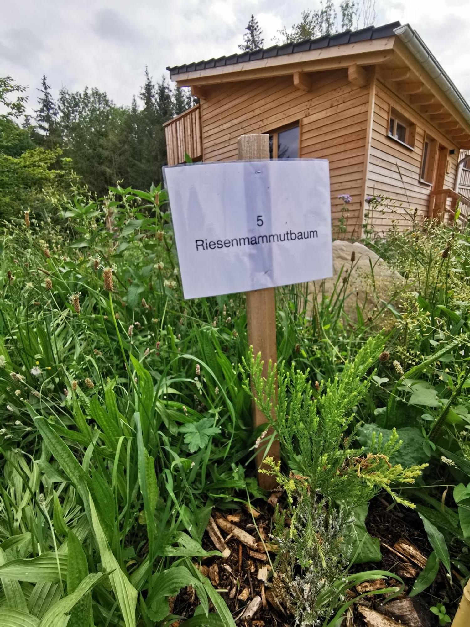 Wald Ist Zukunft Bernbeuren Exterior foto