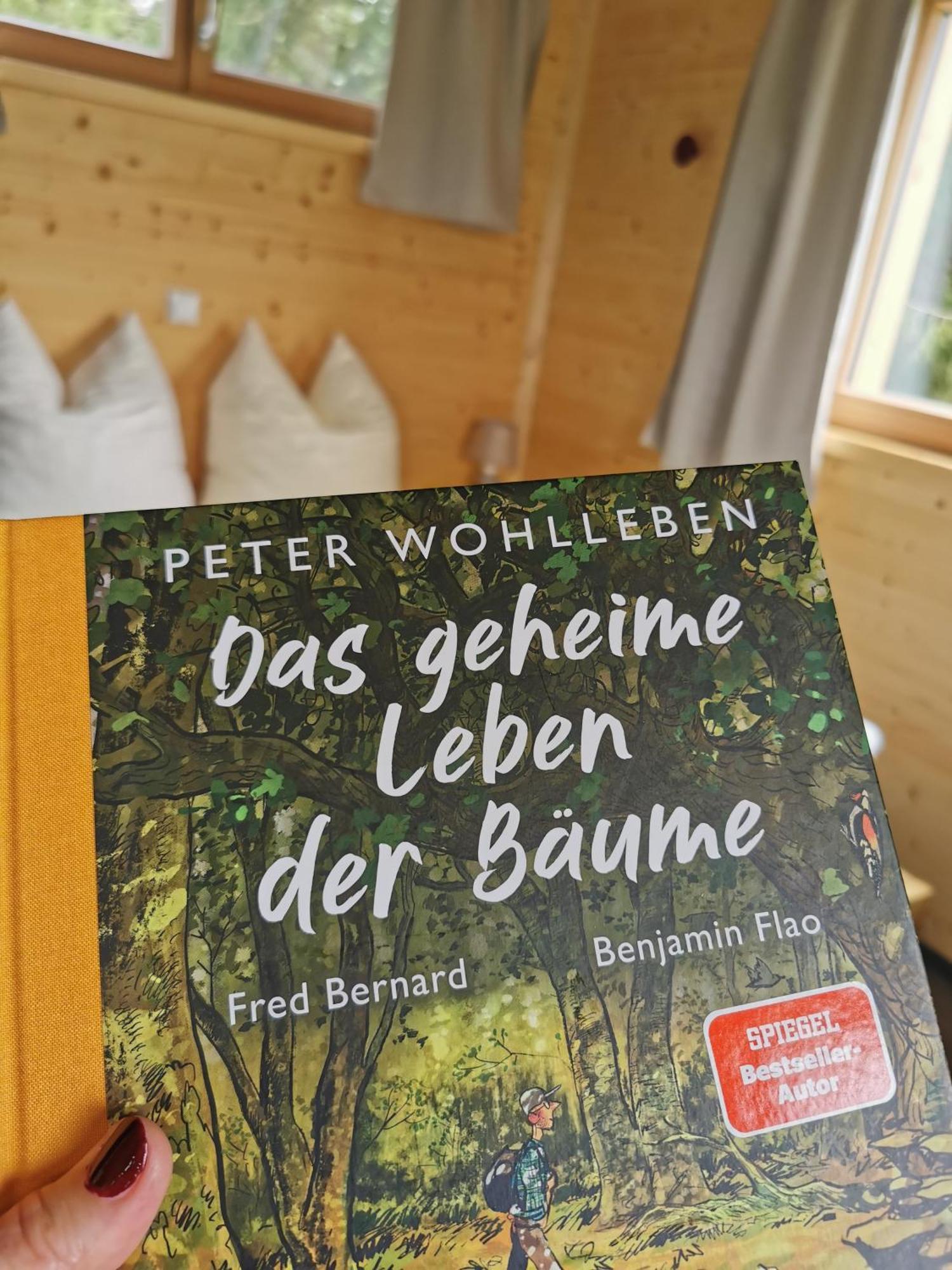 Wald Ist Zukunft Bernbeuren Exterior foto