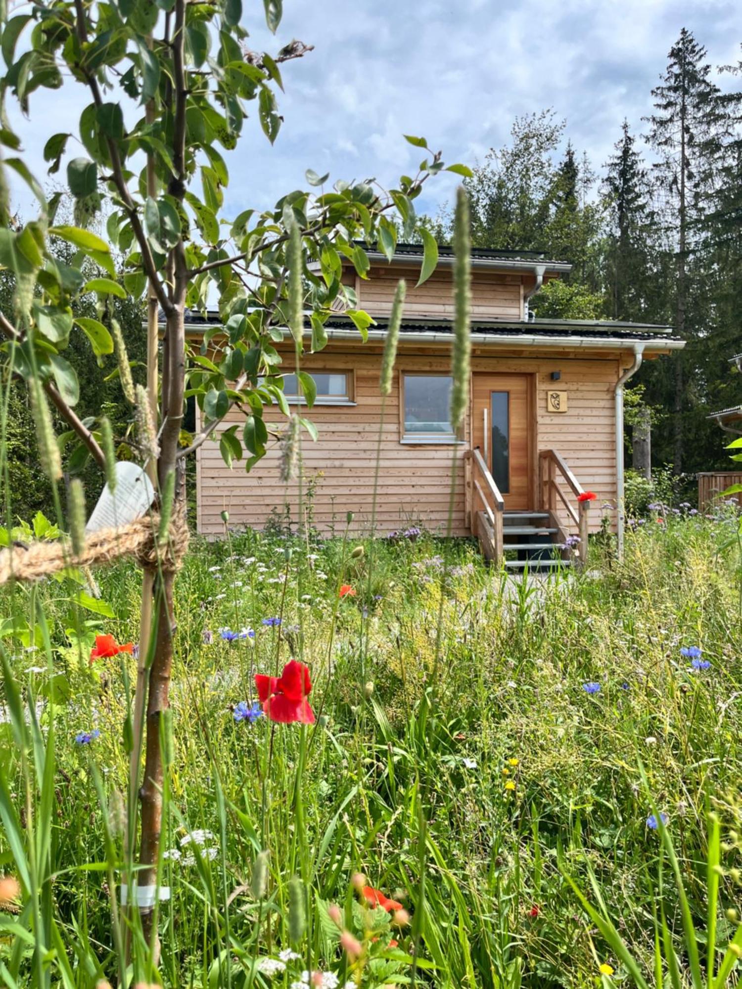 Wald Ist Zukunft Bernbeuren Exterior foto