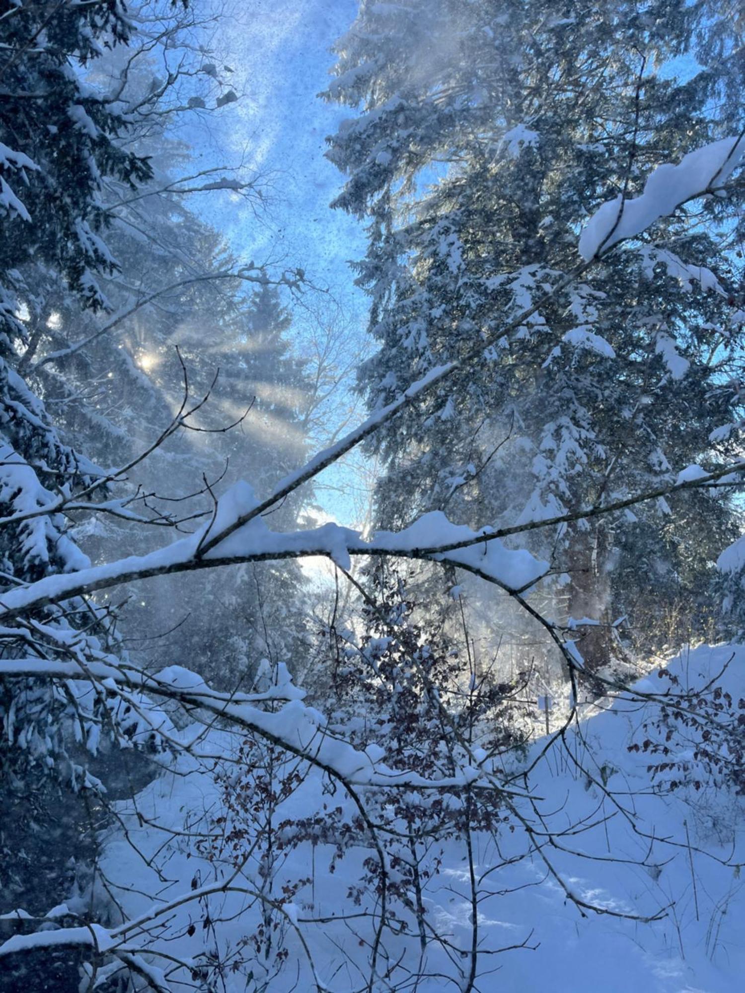 Wald Ist Zukunft Bernbeuren Exterior foto