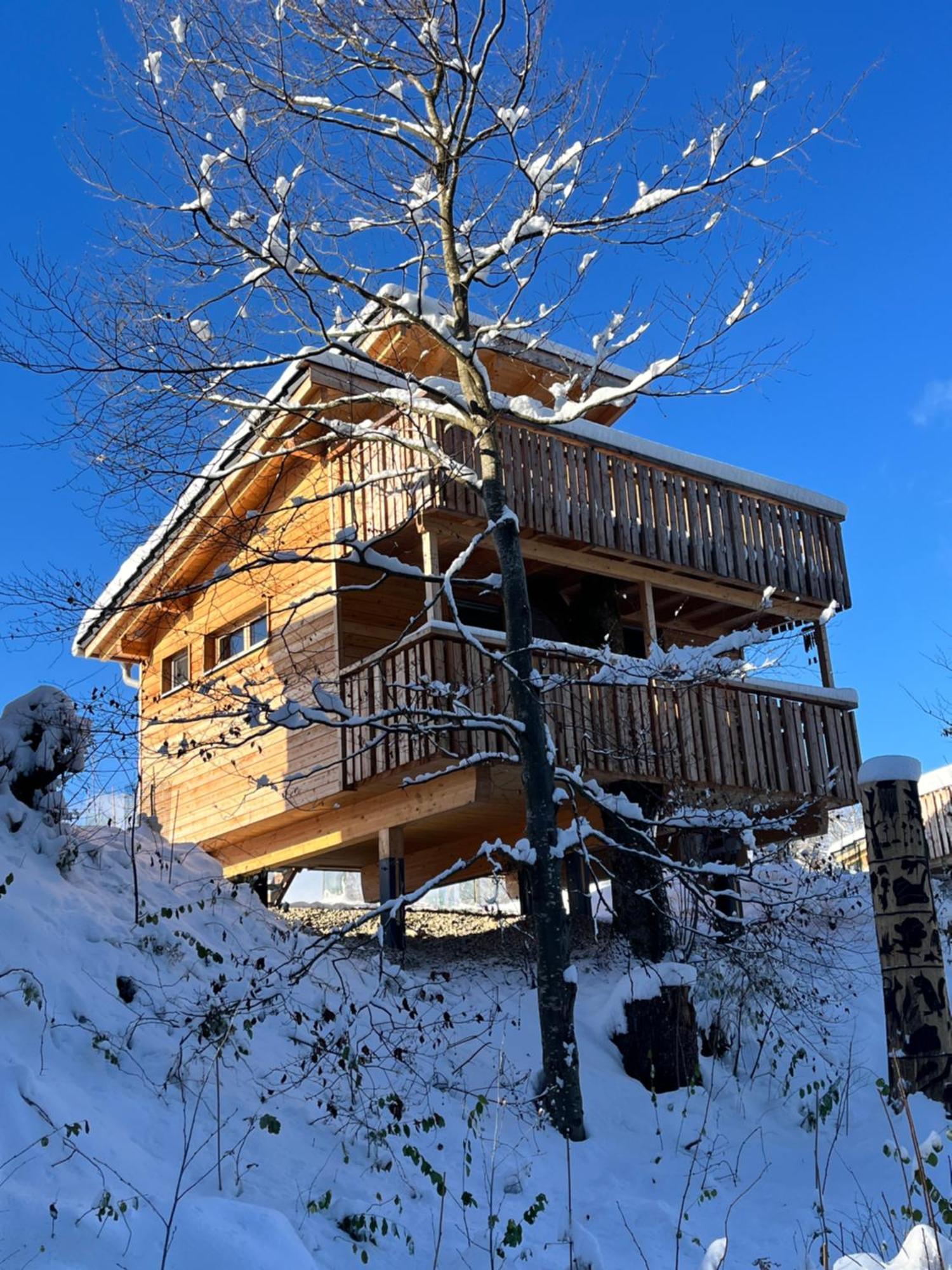 Wald Ist Zukunft Bernbeuren Exterior foto